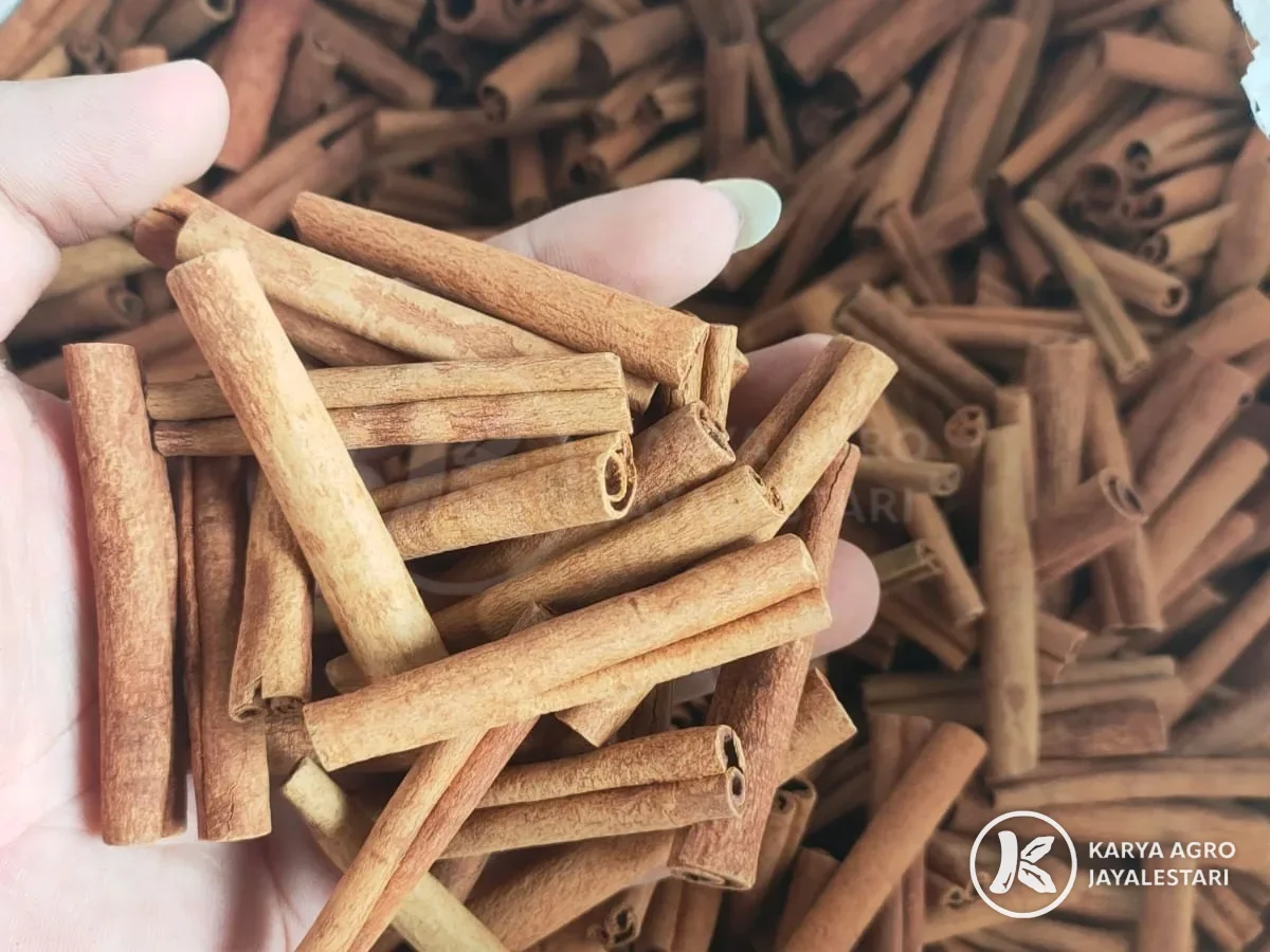 Cut cassia sticks checked by hand over the sack