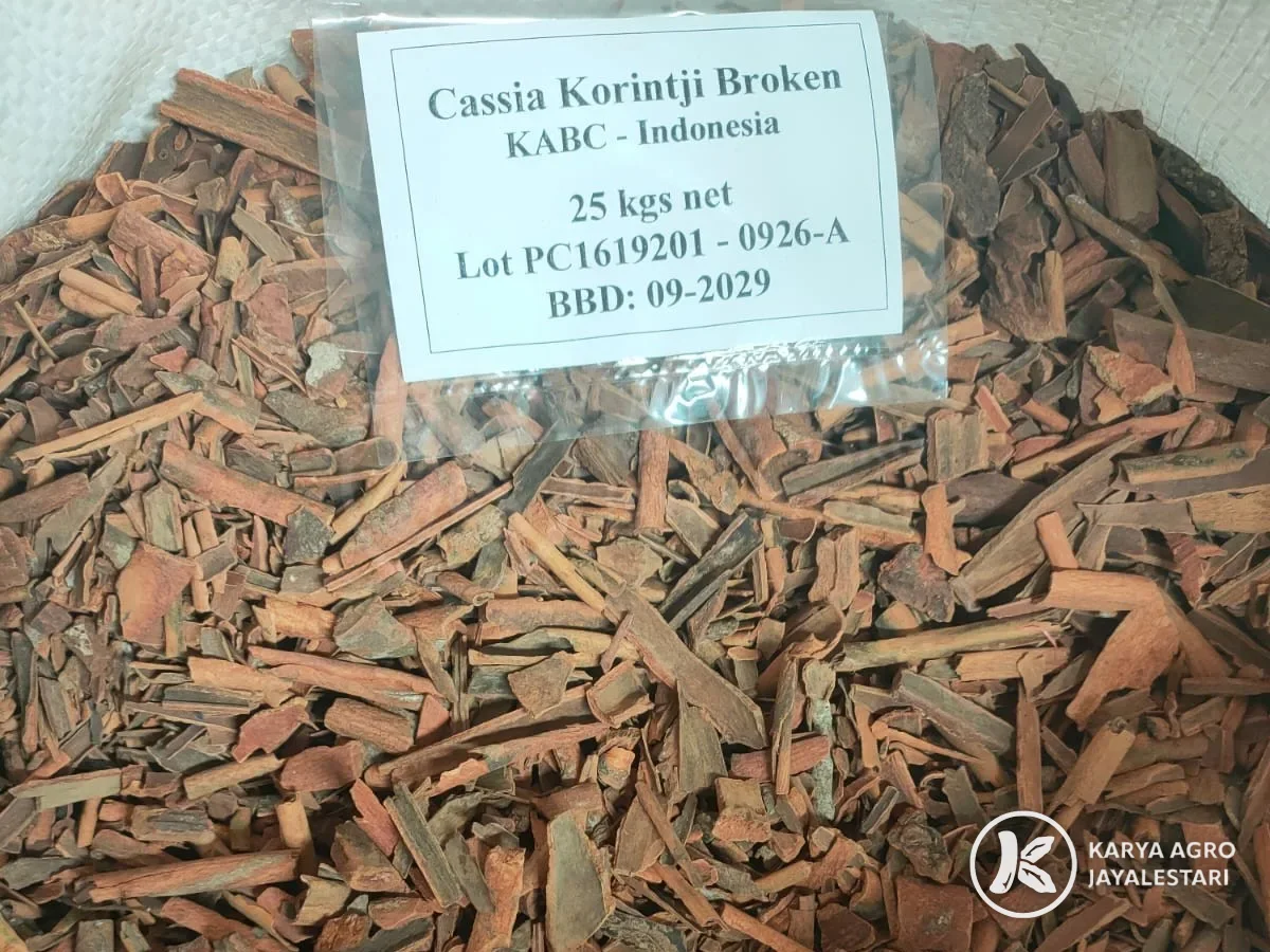 Broken cassia for grinding and oil extraction