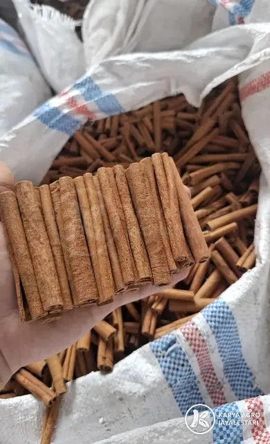 Cassia Sticks, PT. Karya Agro JayaLestari