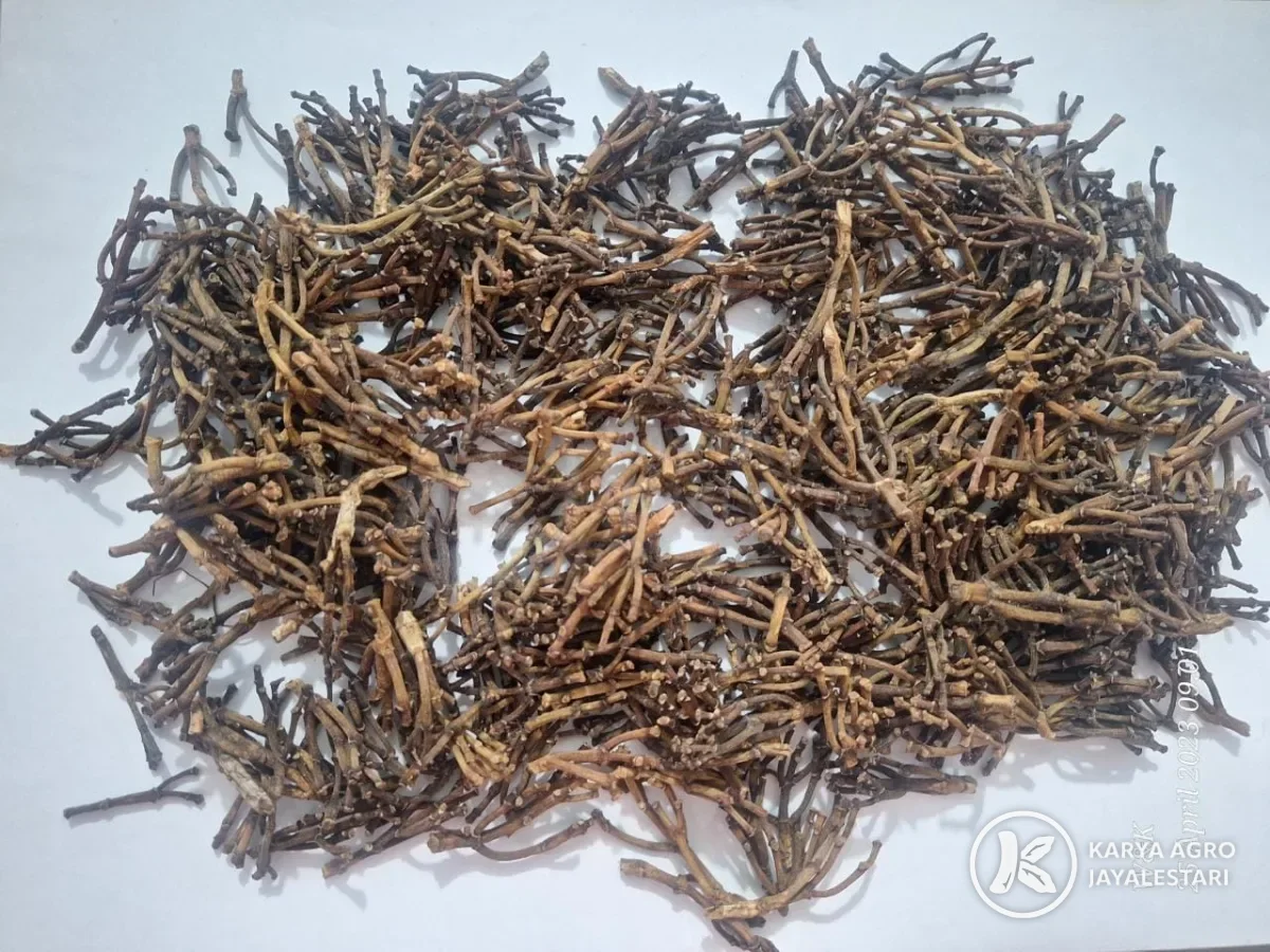 Cloves, Clove stems