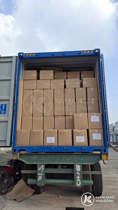 Container Stuffing: Cartons, PT. Karya Agro JayaLestari