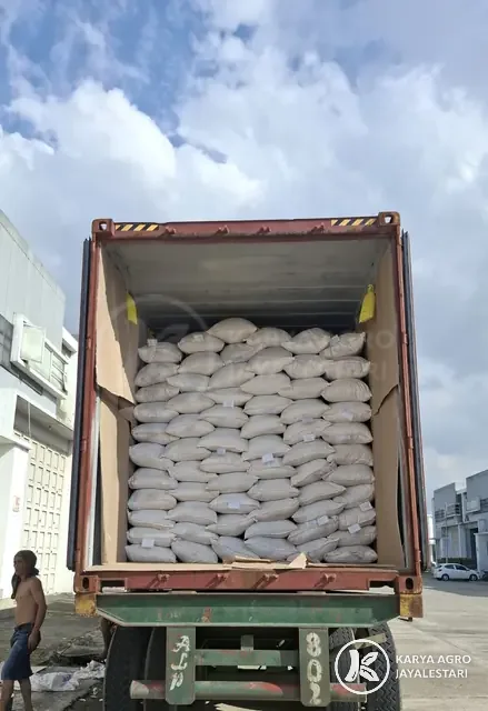 Container Stuffing: Bags, PT. Karya Agro JayaLestari