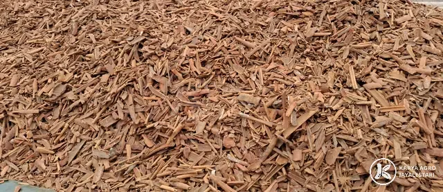 Drying Broken Cassia, PT. Karya Agro JayaLestari