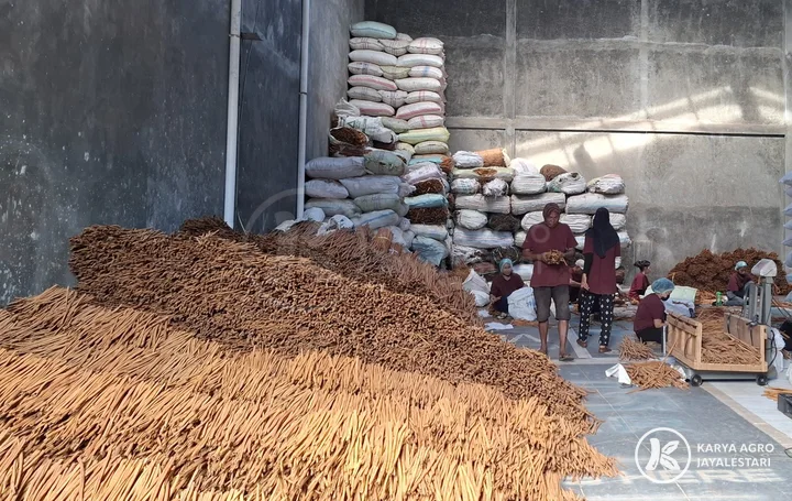Long Cassia Sticks in the Warehouse, PT. Karya Agro JayaLestari