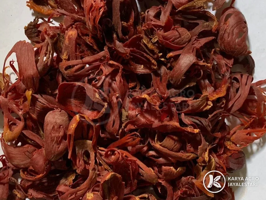 Dried red mace