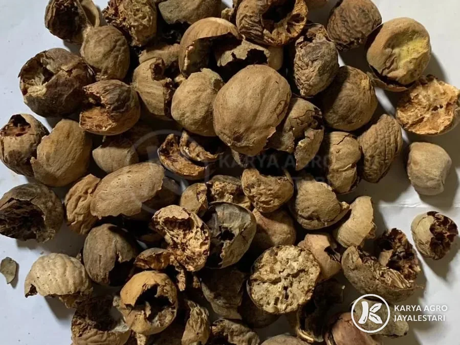 Nutmeg, BWP