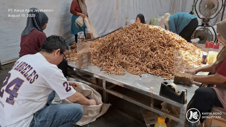 Hand Sorting &amp; Grading, PT. Karya Agro JayaLestari
