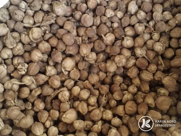 Bulk white cardamom pods