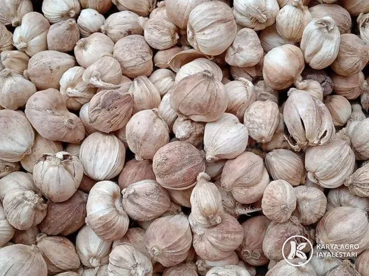 Bleached white cardamom pods